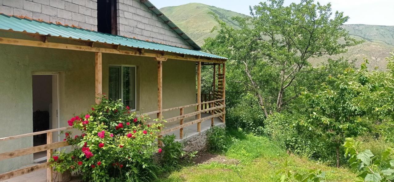 Mesxta Hotel Nakalakevi Kültér fotó