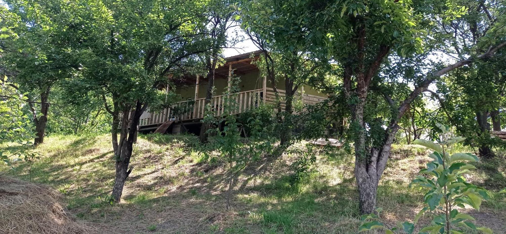Mesxta Hotel Nakalakevi Kültér fotó